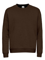 Bruin (PMS 7589C)